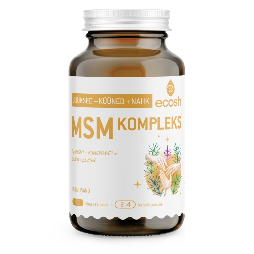 Product image of ECOSH MSM KOMPLEKS KAPSLID N90