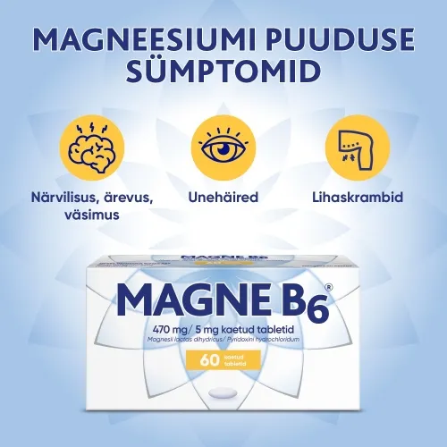 MAGNE B6 KAETUD TBL 5MG+470MG N60 - Tootepilt 2