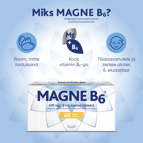 MAGNE B6 KAETUD TBL 5MG+470MG N60 - Tootepilt 3