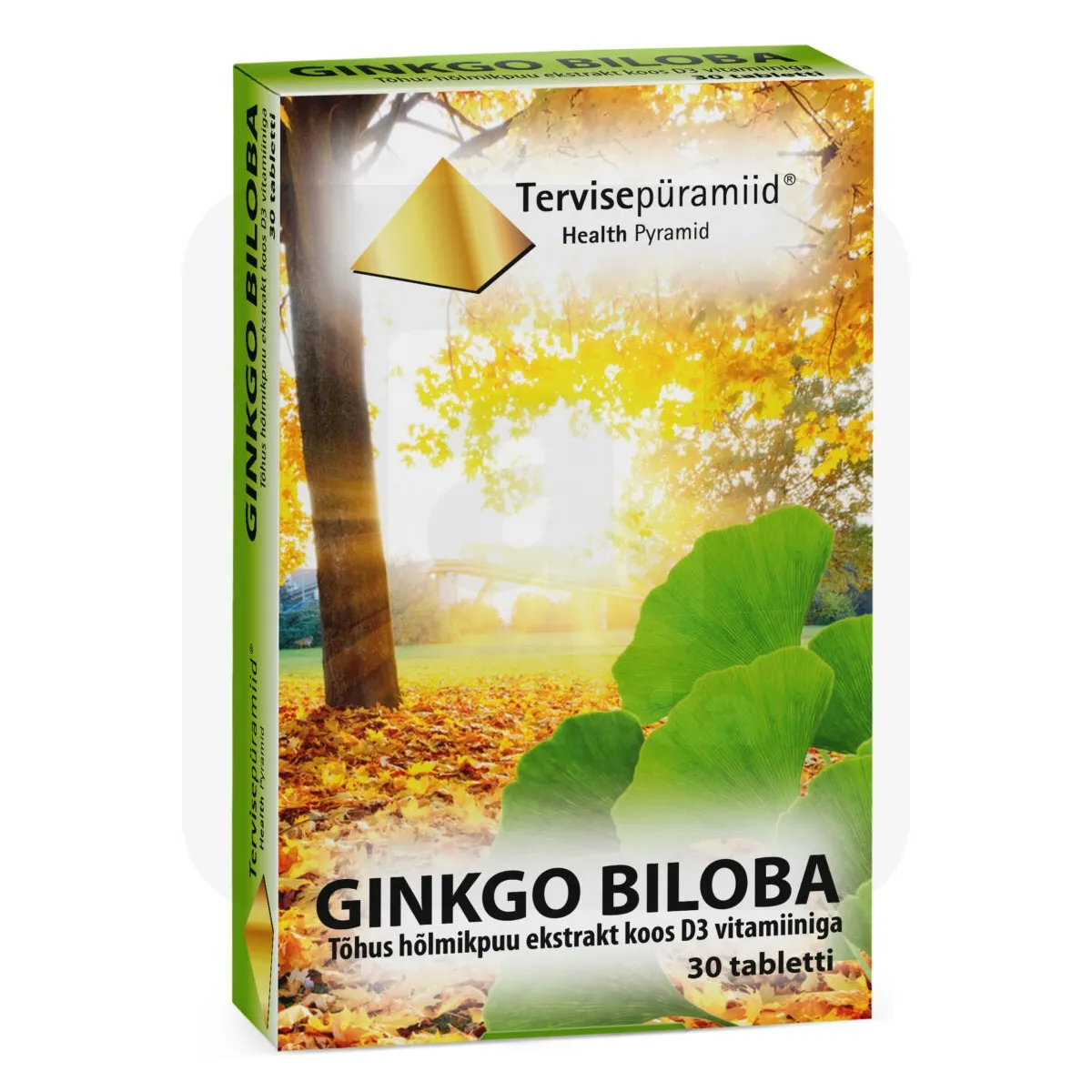 TERVISEPÜRAMIID GINKGO BILOBA TBL N30 - Tootepilt