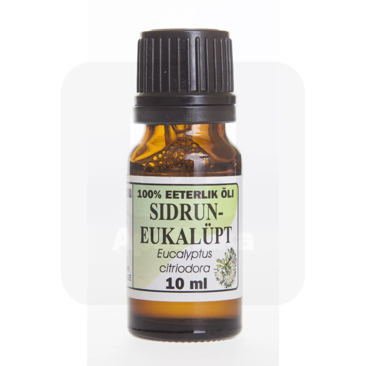 SIDRUN-EUKALÜPTIÕLI 100% 10ML - Tootepilt