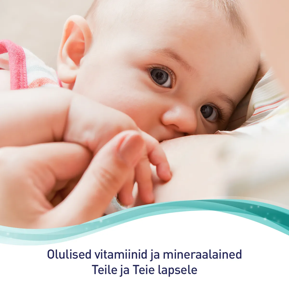 ELEVIT BREASTFEEDING KAPSLID N30 - Tootepilt 3