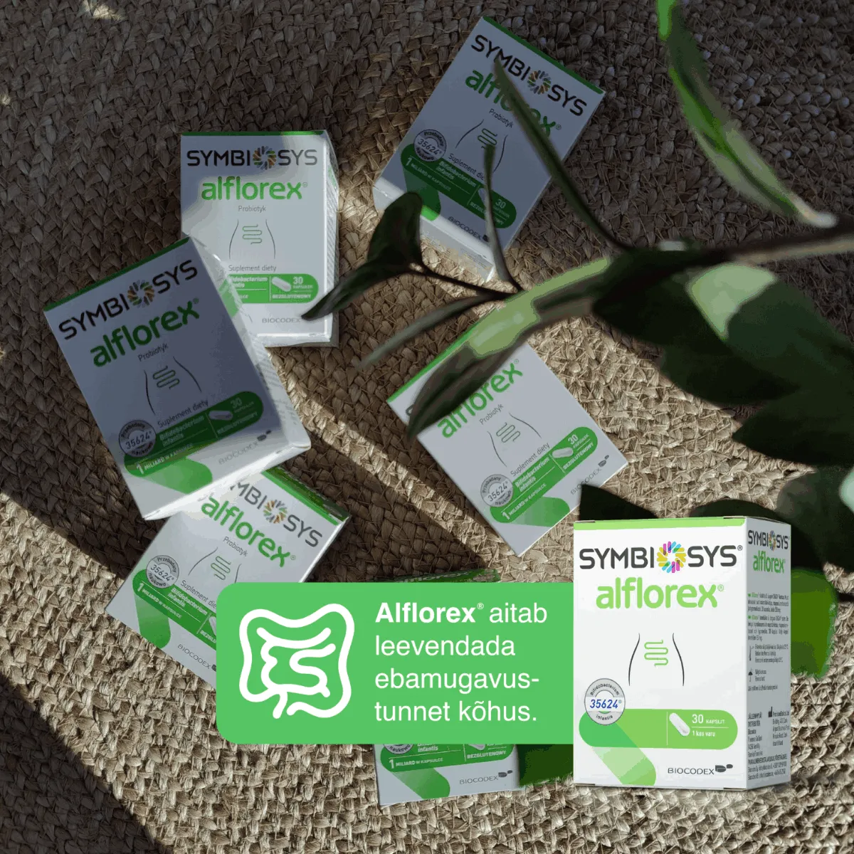 SYMBIOSYS ALFLOREX KAPSLID N15 - Tootepilt 5