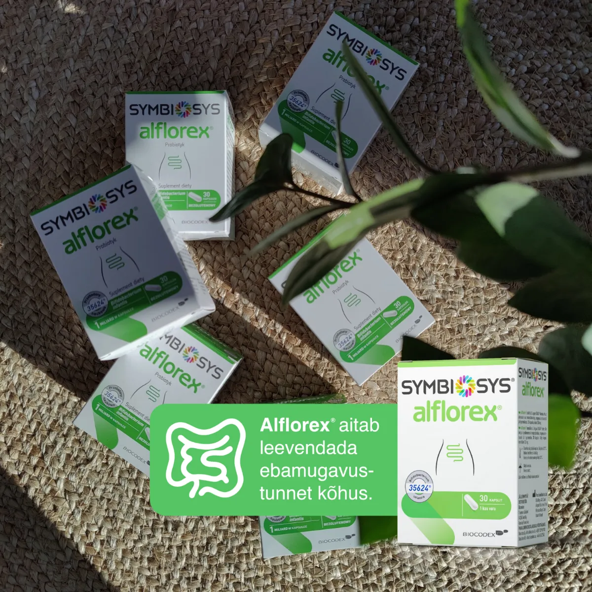 SYMBIOSYS ALFLOREX KAPSLID N30 - Tootepilt 5