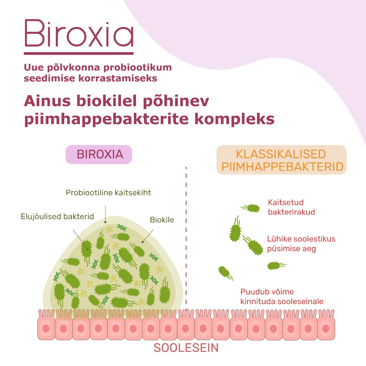 BIROXIA KAPSLID N15 - Tootepilt 3