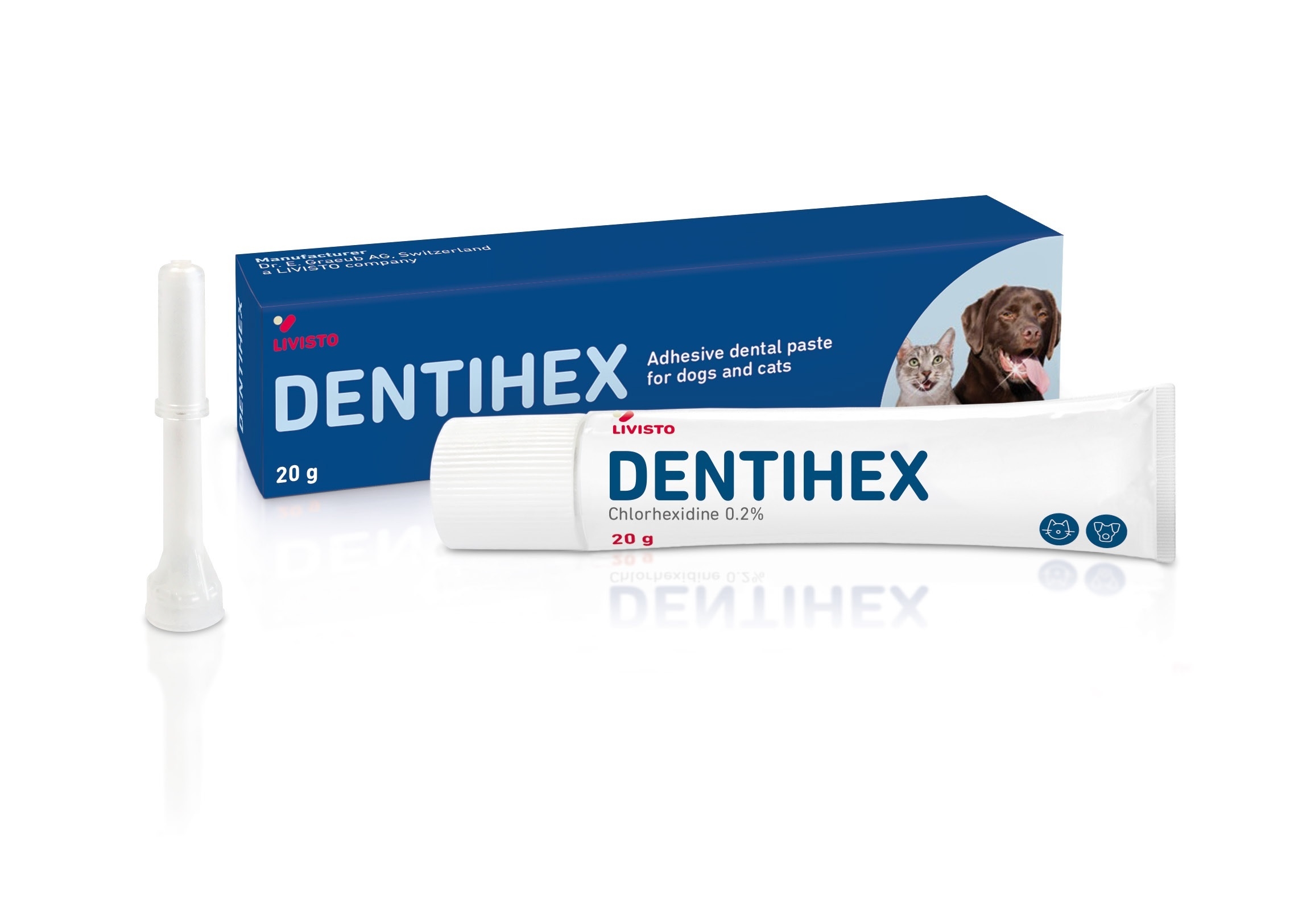 HAMBAPASTA DENTIHEX 20G - Tootepilt 
