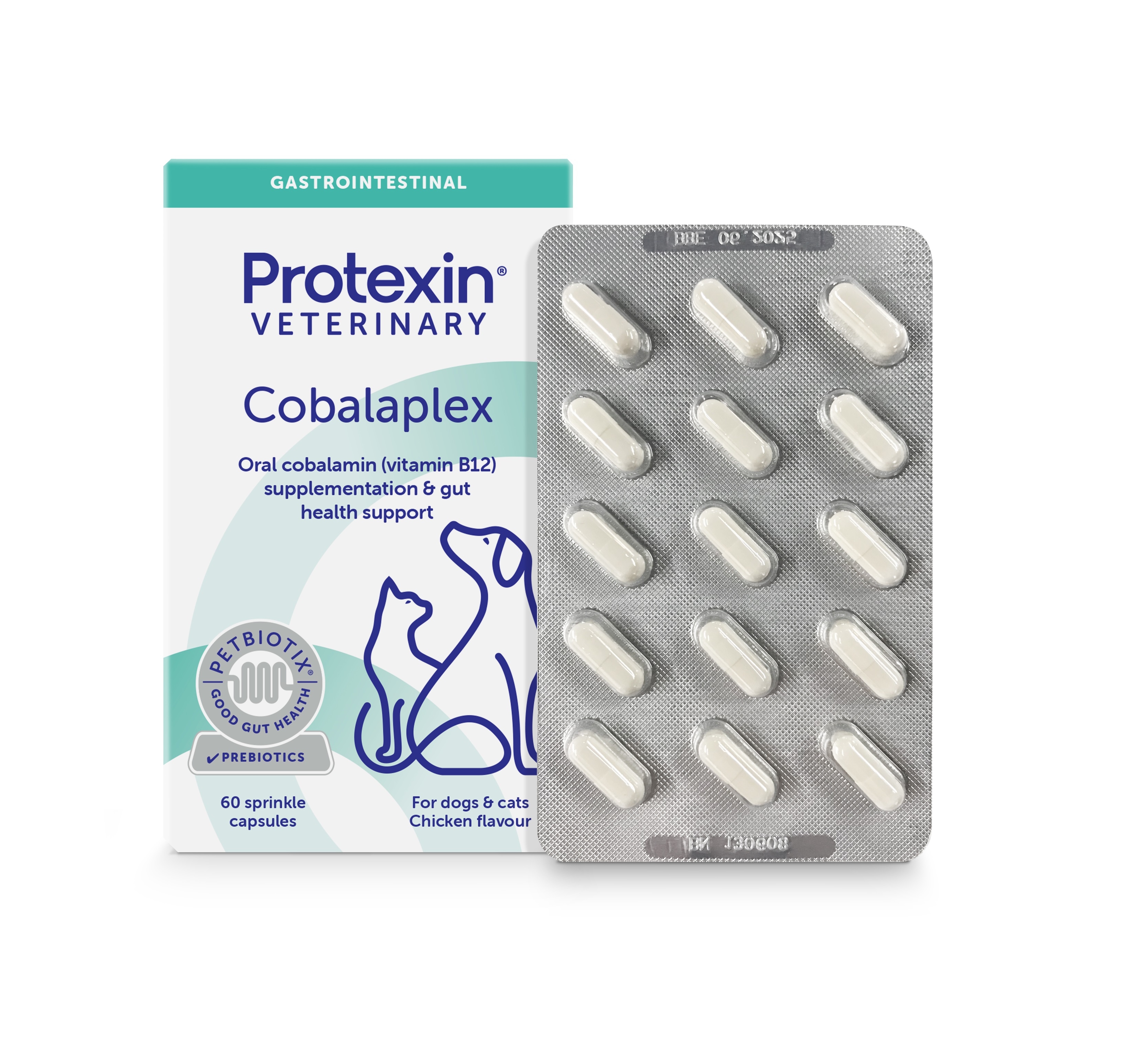 PROTEXIN COBALAPLEX FOR DOGS AND CATS CAPS N60 - Tootepilt 