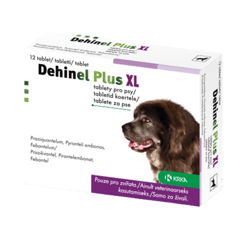 DEHINEL PLUS XL TABL 175MG+525MG+504MG N12 - Tootepilt 2