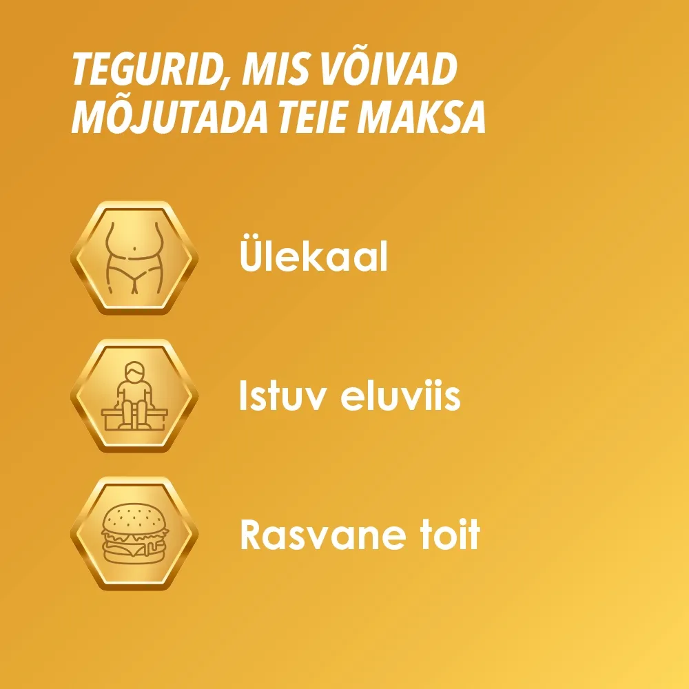 ESSENTIALE FORTE N CAPS 300MG N100 - Tootepilt 2