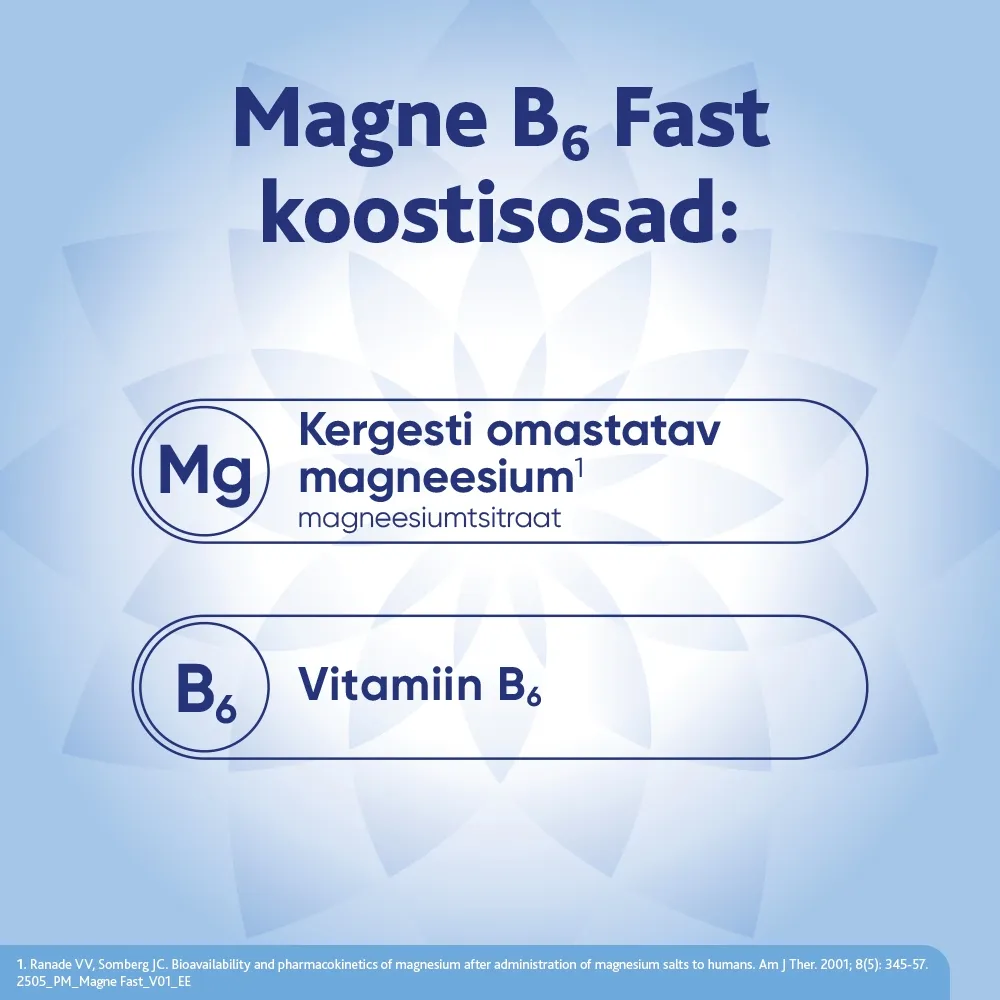 MAGNE B6 FAST N20 - Tootepilt 3