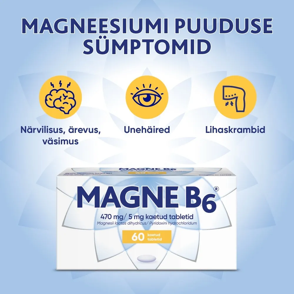 MAGNE B6 KAETUD TBL 5MG+470MG N60 - Tootepilt 2