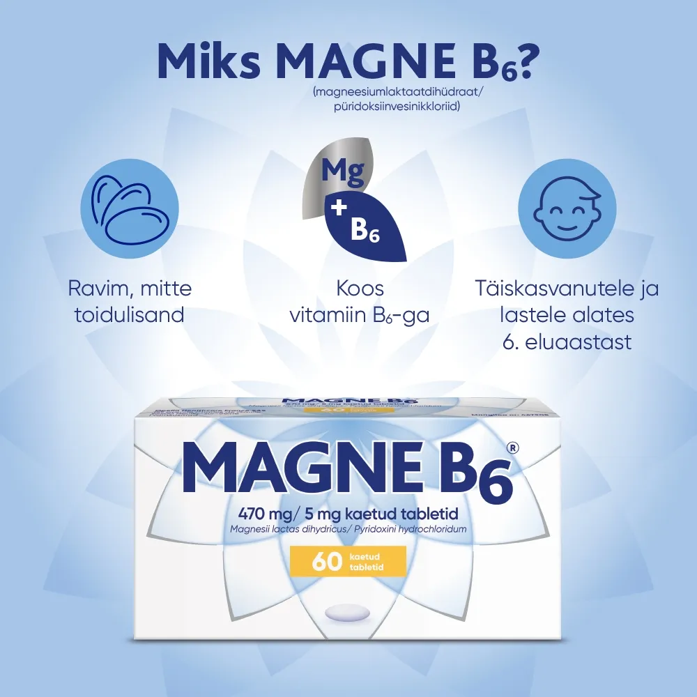 MAGNE B6 KAETUD TBL 5MG+470MG N60 - Tootepilt 4