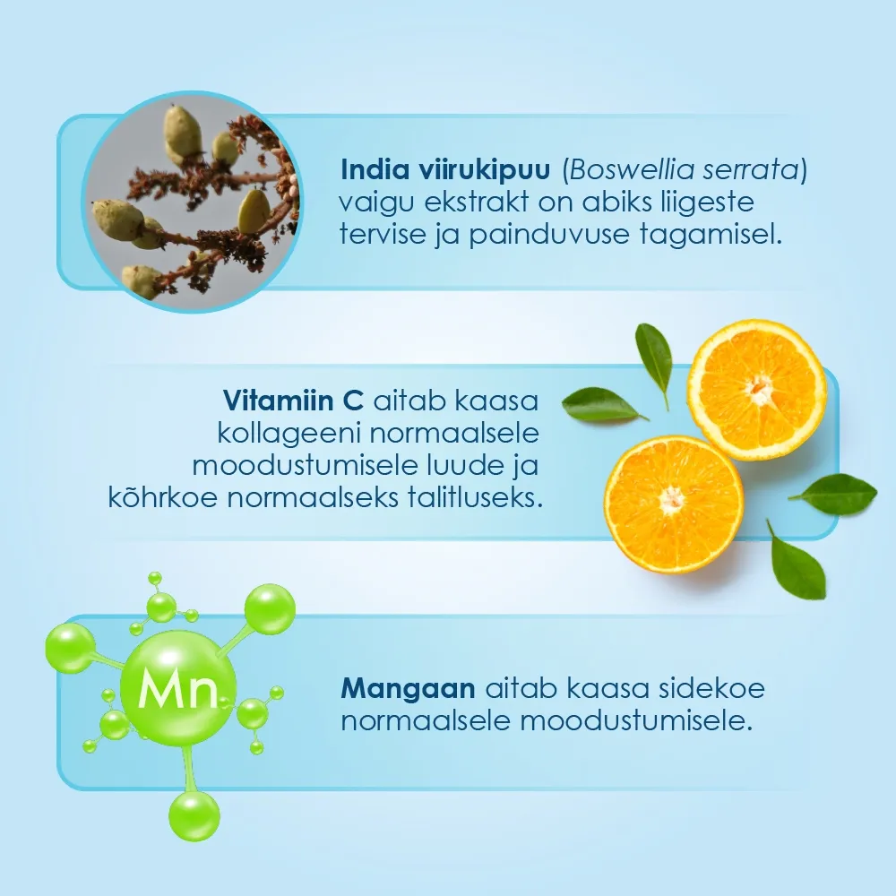 PROENZI ARTHROSTOP RAPID TBL N90 - Tootepilt 3