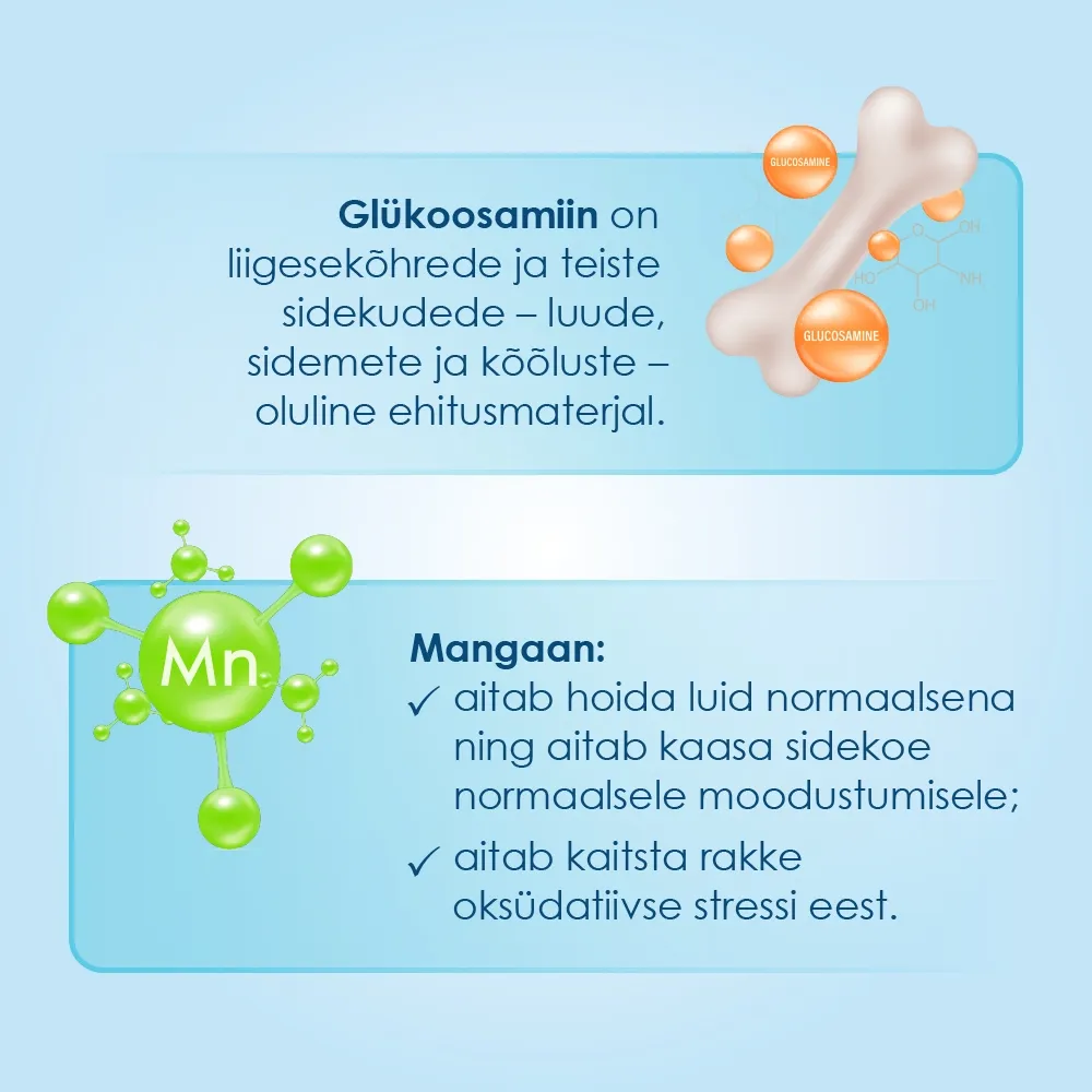 PROENZI ARTHROSTOP PLUS TBL N100 - Tootepilt 3