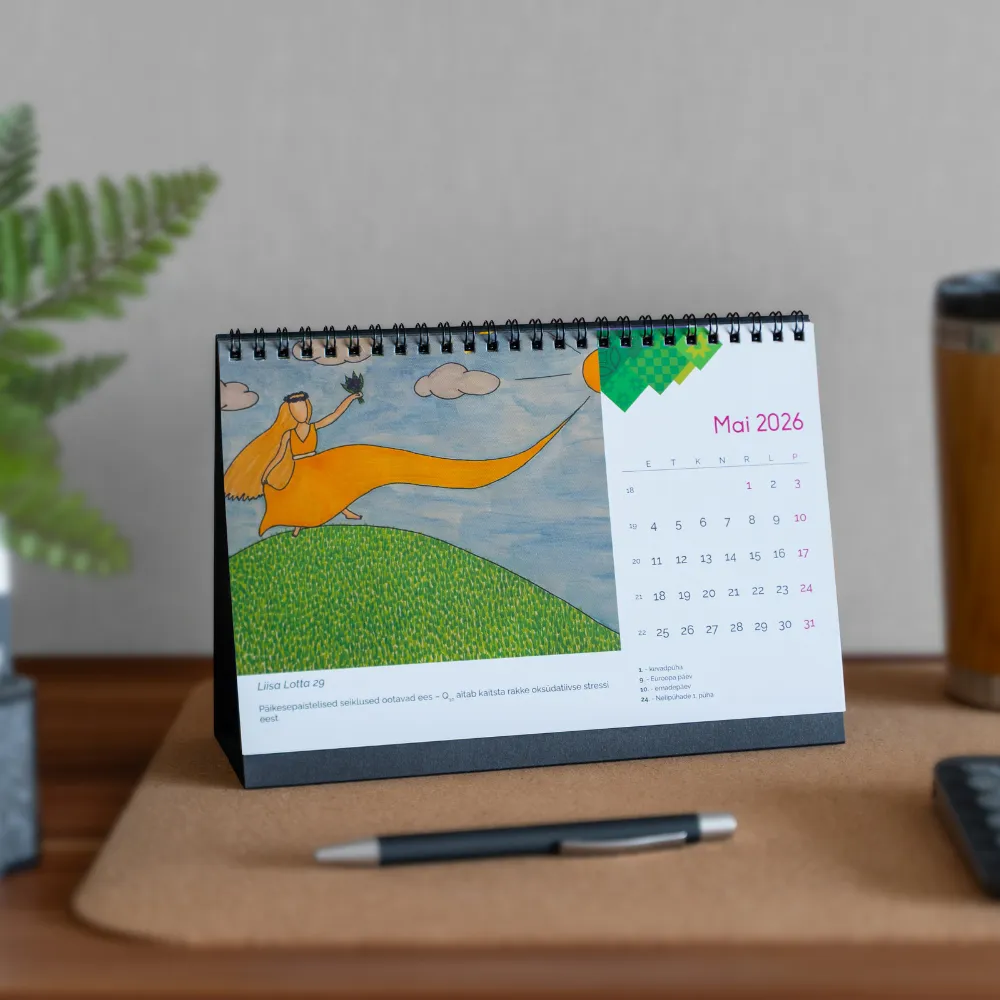 RÕÕM LAUAKALENDER 2026 - Tootepilt 7