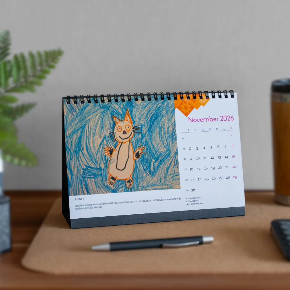RÕÕM LAUAKALENDER 2026 - Tootepilt 13