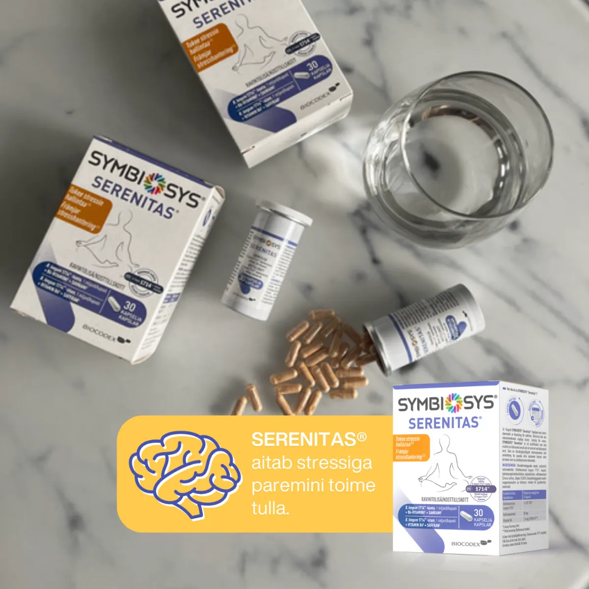 SYMBIOSYS SERENITAS KAPSLID N30 - Tootepilt 5