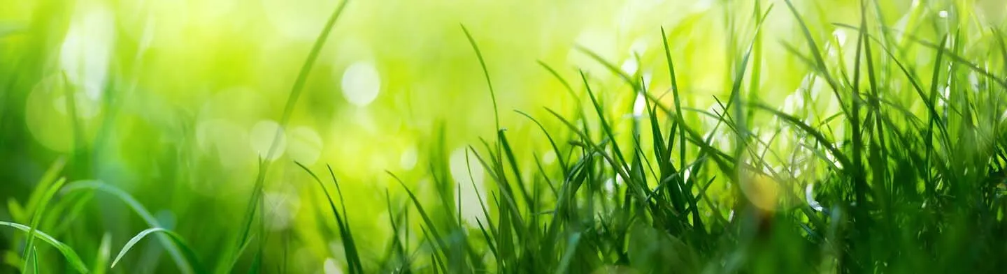 Puukentsefaliidi vastu vaktsineerimine